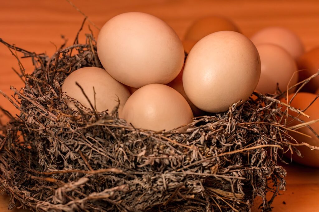 huevos para dieta cetogénica para adelgazar